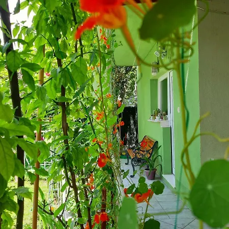 Pink Apartamento *